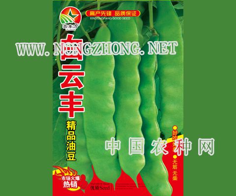 白云丰